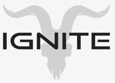 IGNITE - V25 2500 PUFFS DISPOSABLE VAPE