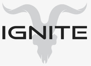 IGNITE - V25 2500 PUFFS DISPOSABLE VAPE