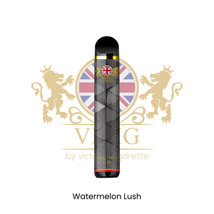 VICIG DISPOSABLE 1500PUFFS 20Mg & 50Mg