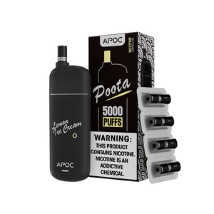 APOC POOTA DISPOSABLE KIT 5000 PUFFS (RECHARGABLE)